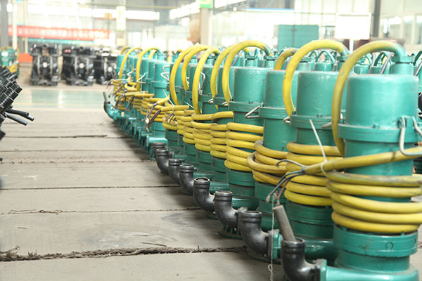 防(fang)爆潛水泵