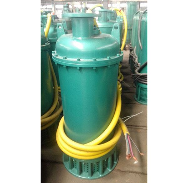 防爆排(pai)污泵