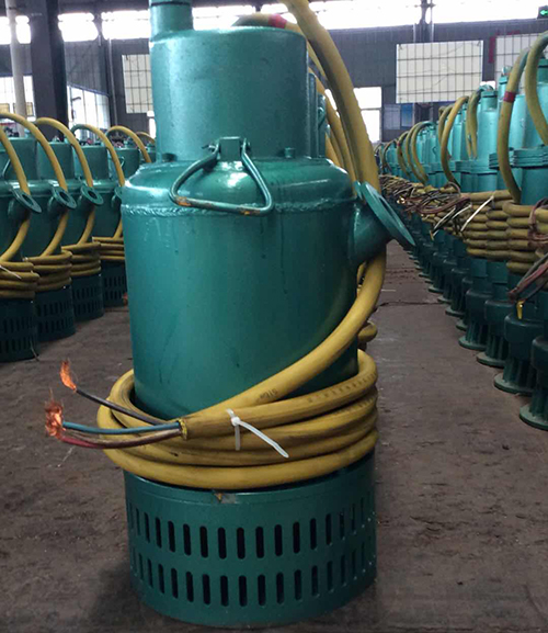 防爆(bao)排污泵(bèng)圖片