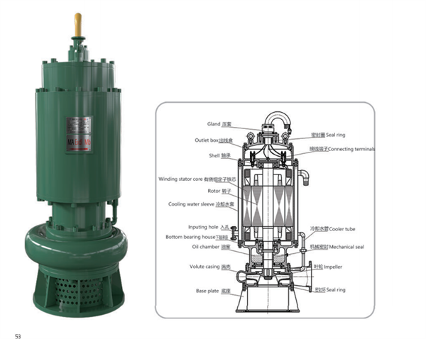 半内裝式(shì)電泵